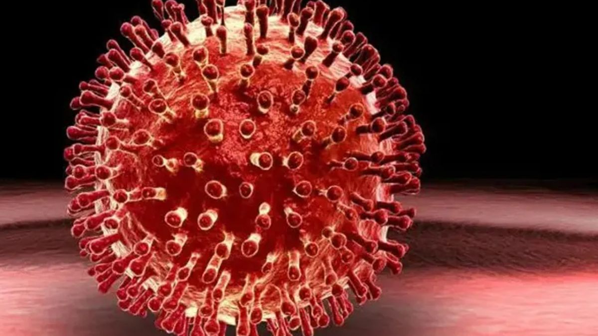 France detects first human infection with the “Shamonda” virus