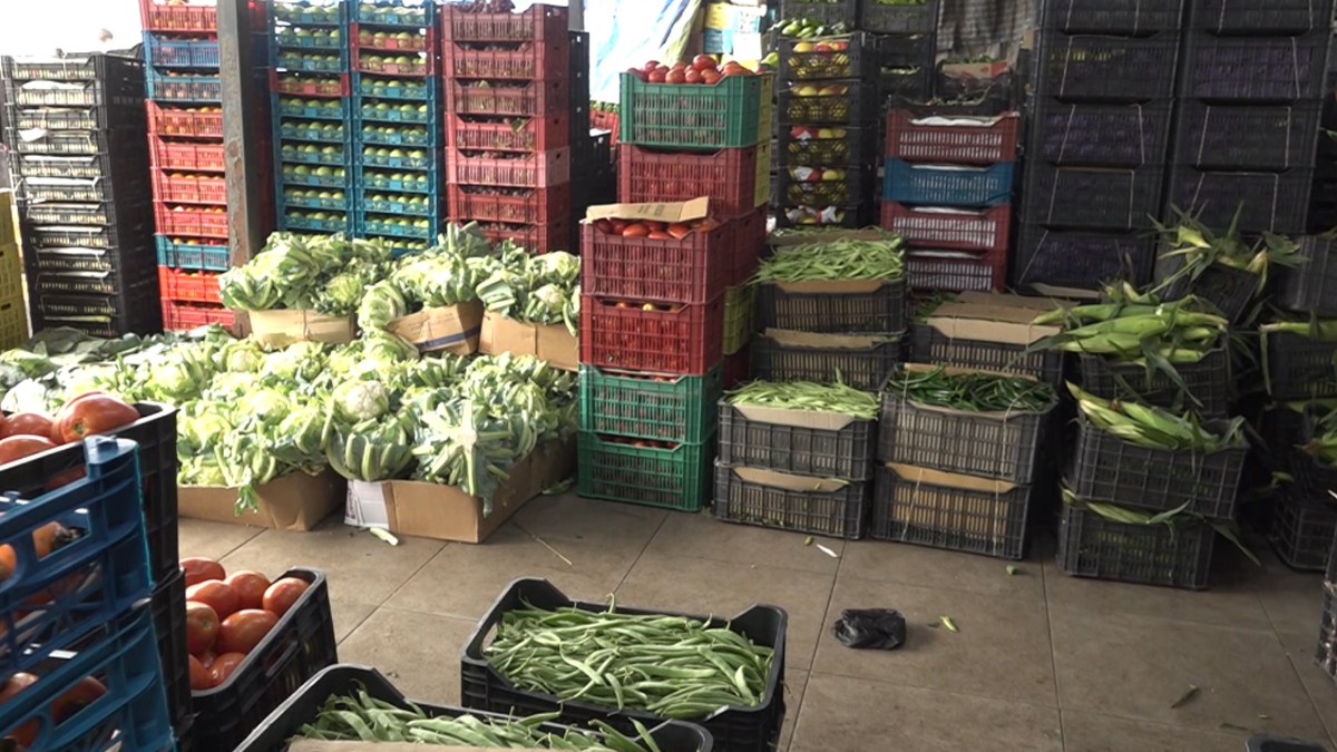 Agricultural season: Production costs are rising... Are we facing a vegetable crisis?