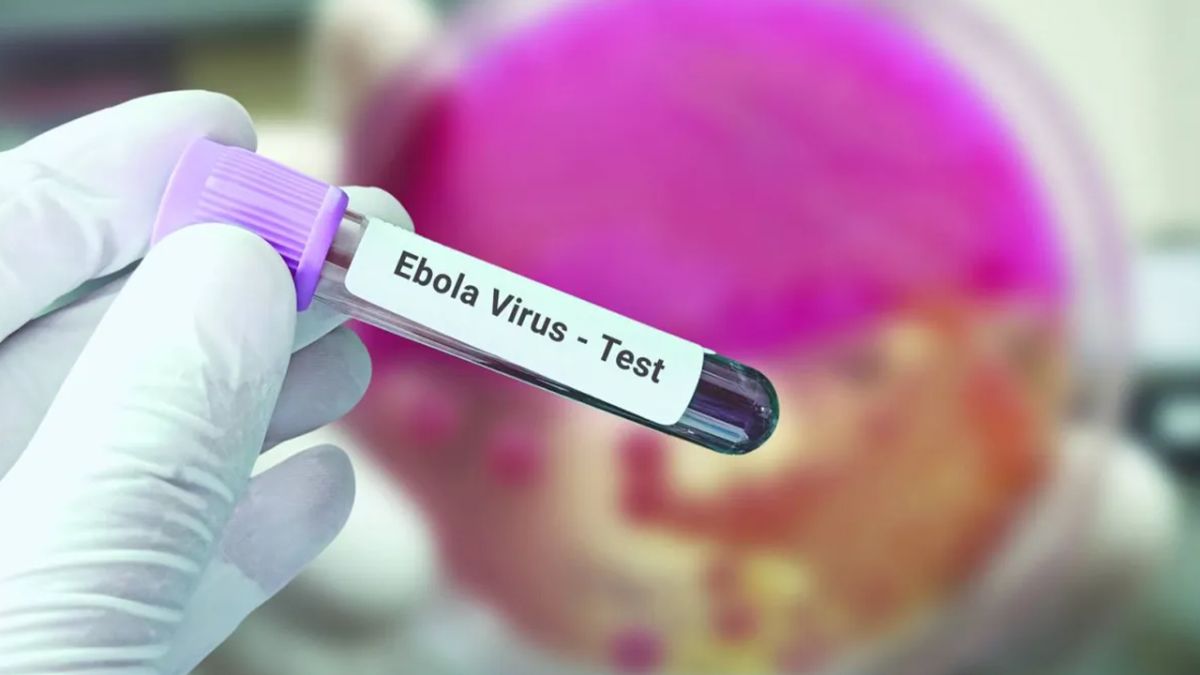 Ebola in Nigeria... Scientists search for the source of the first infection